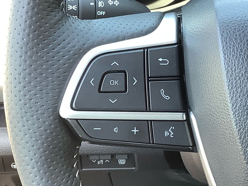 2025 Toyota Sienna Platinum 7 Passenger
