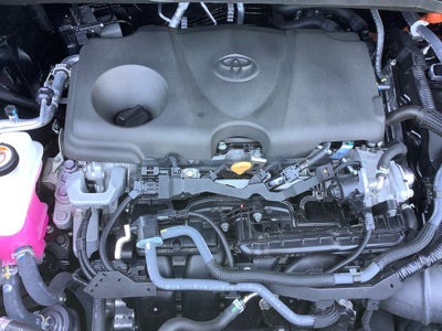 2025 Toyota Sienna Platinum 7 Passenger