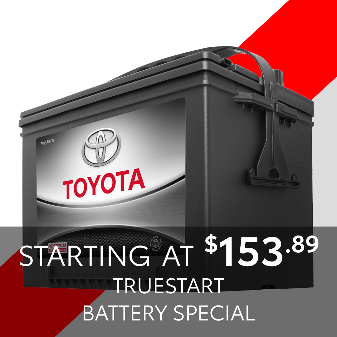 TrueStart Battery Special