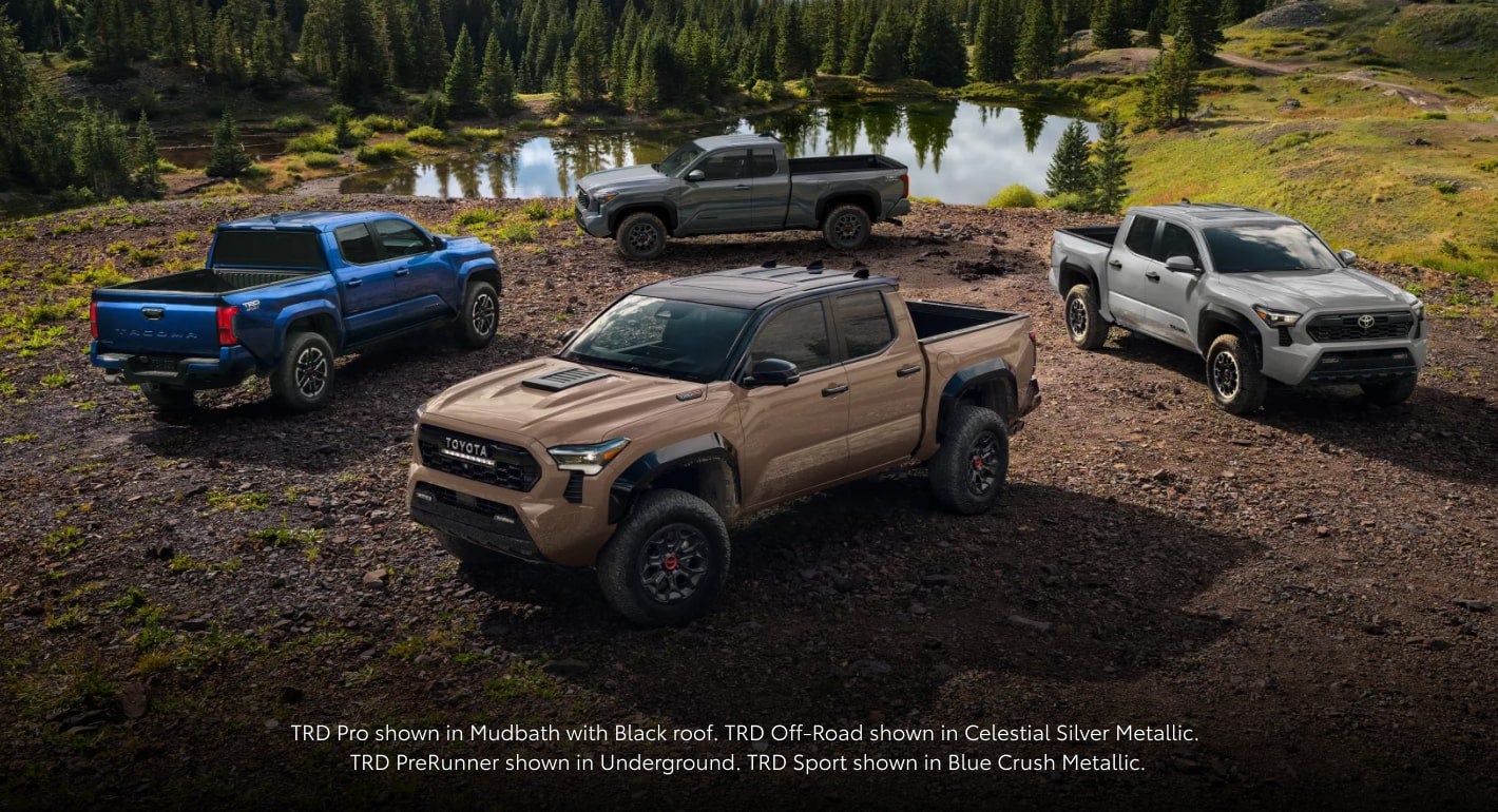 2025 Toyota Tacoma Trims